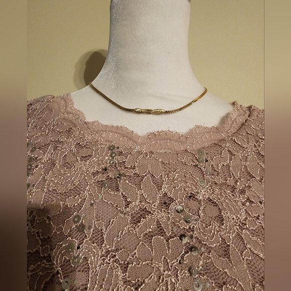 NEW Alex Evenings Pink Formal Sequined Dress/Gown Size 12 with 3/4 Sleeves - Picture 8 of 14